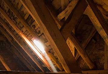 Attic Cleaning | Attic Cleaning San Pablo, CA